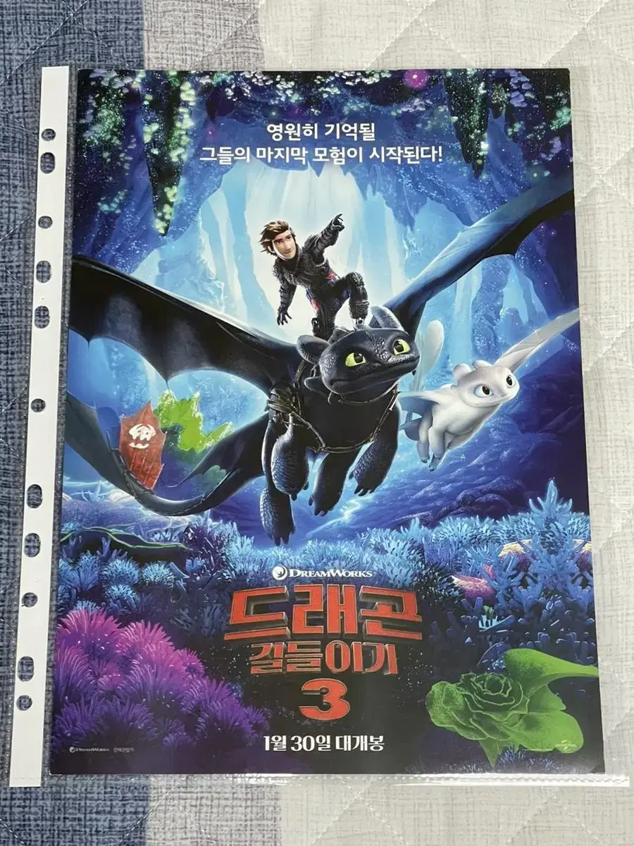 How to Train Your Dragon 3 Movie Pamphlet