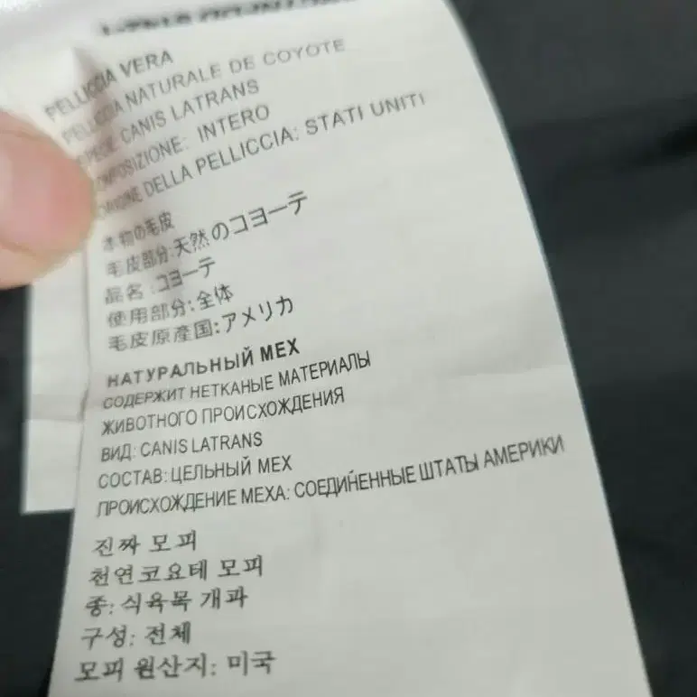 캐나다구스.xs(55)~*가격다운42~30만