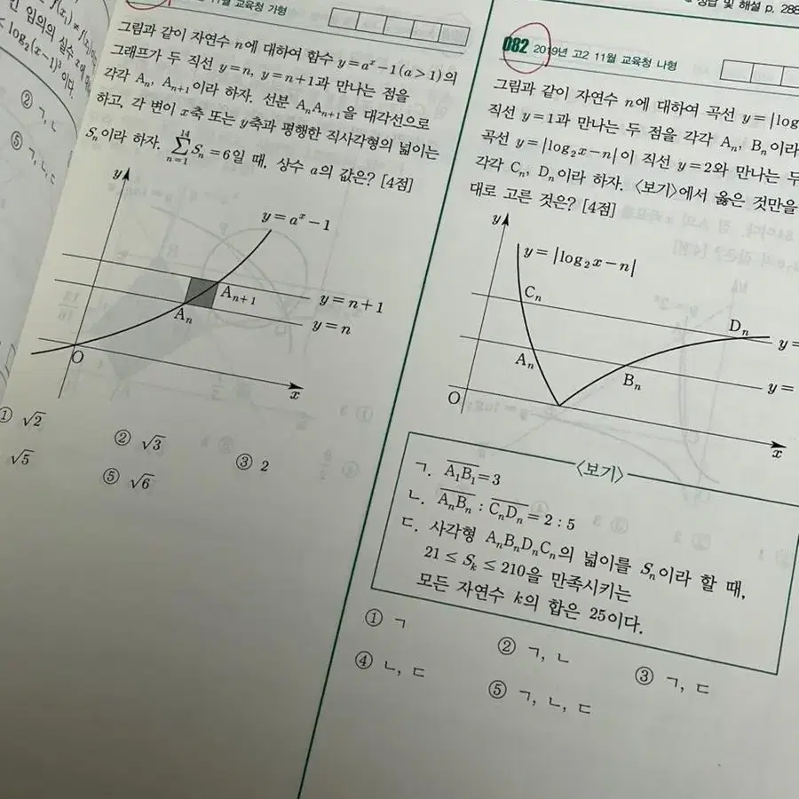 규토라이트 n제 수1 처분