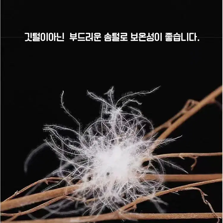 유아동 오리털 블랙골드점퍼