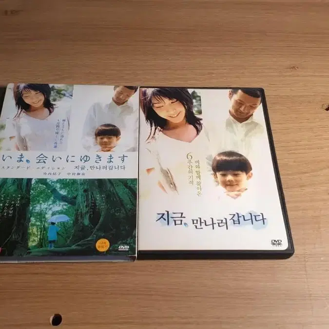 (일본판) 지금, 만나러 갑니다 dvd