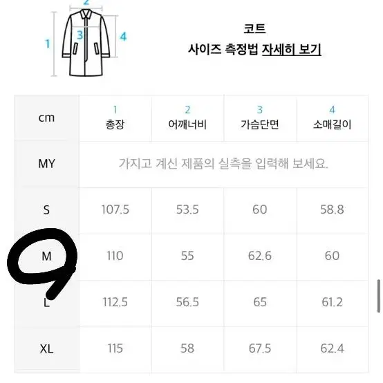 비슬로우 울 수티앵  코트