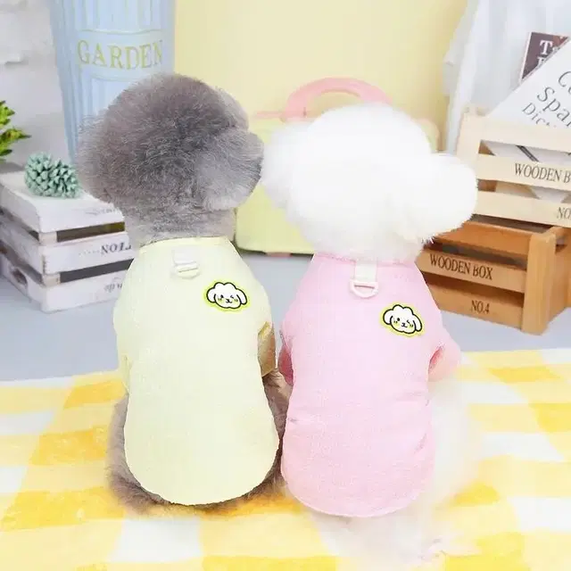 흰둥이 강아지 하네스 티셔츠 옷