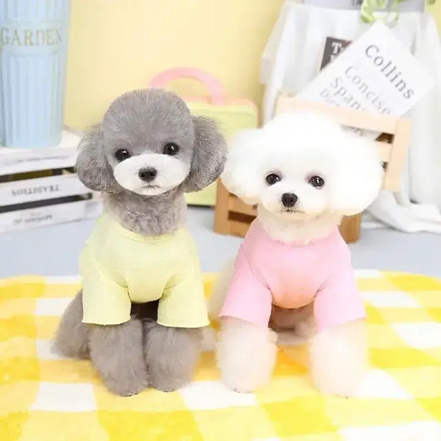 흰둥이 강아지 하네스 티셔츠 옷