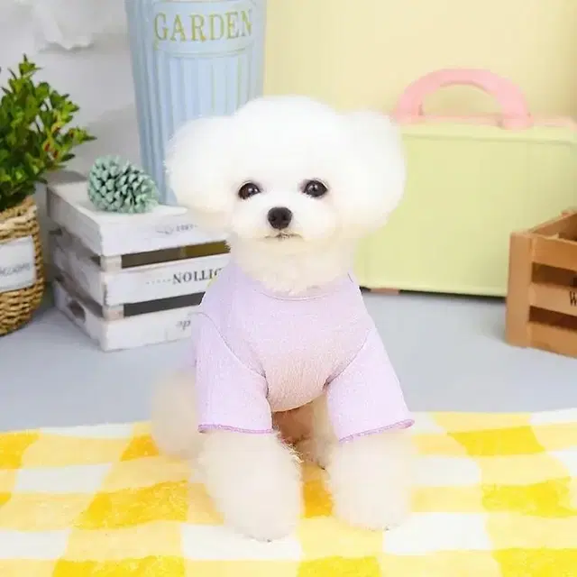 흰둥이 강아지 하네스 티셔츠 옷