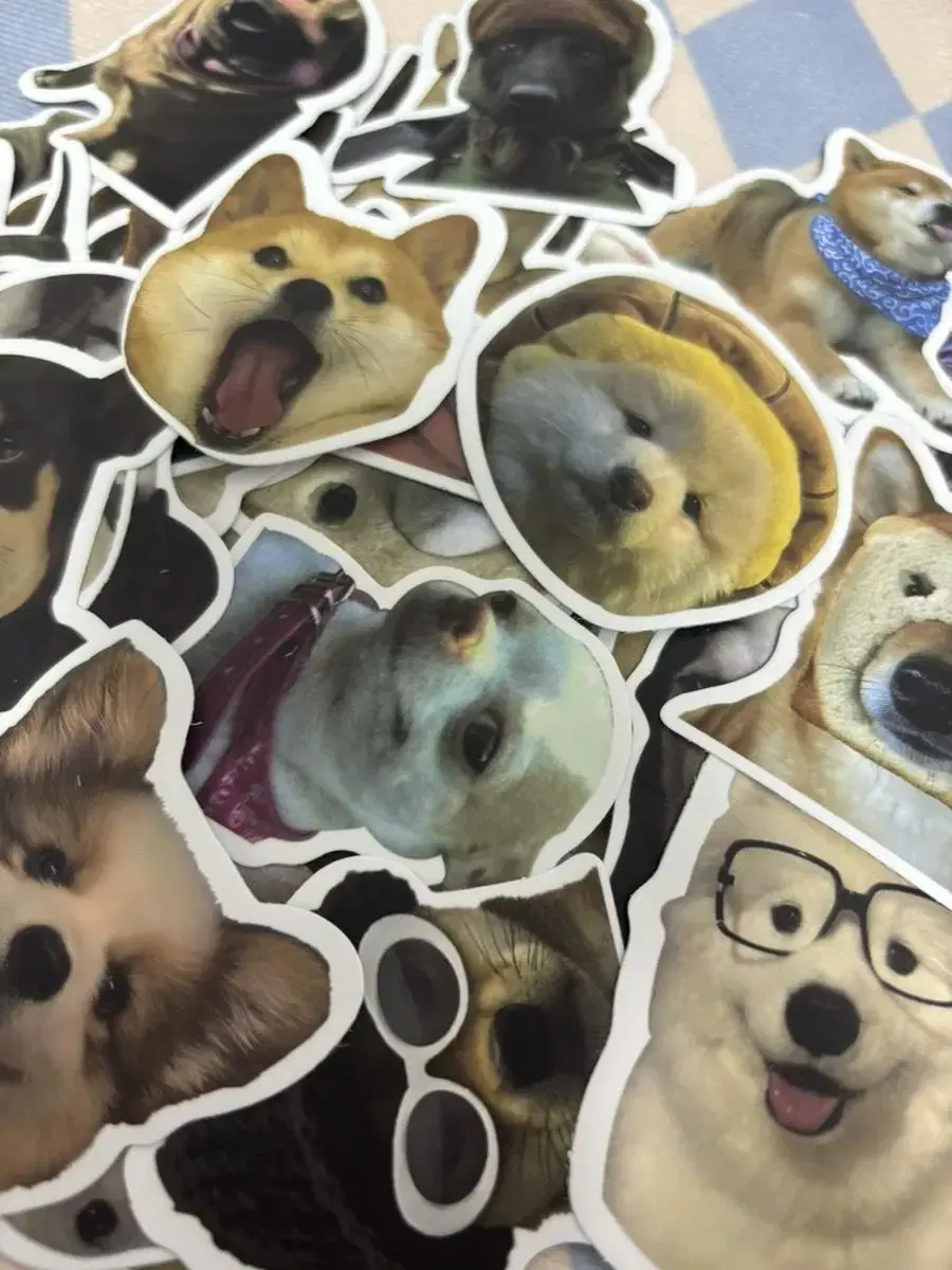 Puppy sticker random 10ps