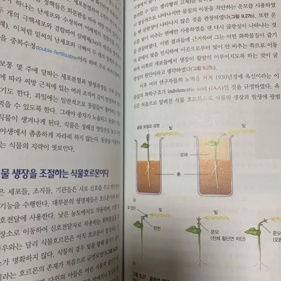 생명과학 강의노트 3판