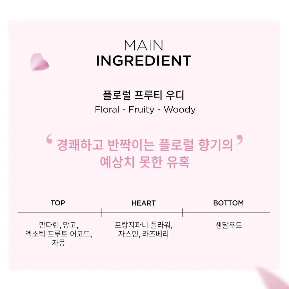 지미추 블라썸 스페셜 에디션 40ml