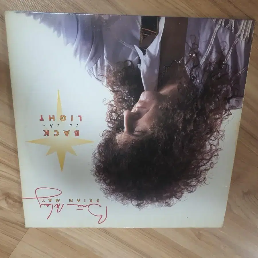 브라이언메이 lp Brian May lp