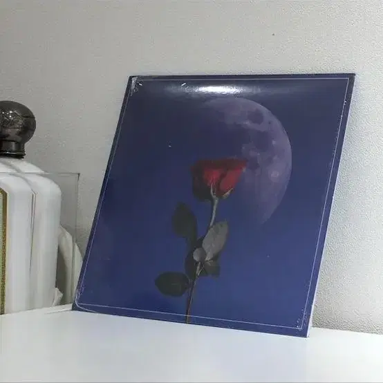 태비 blue lp