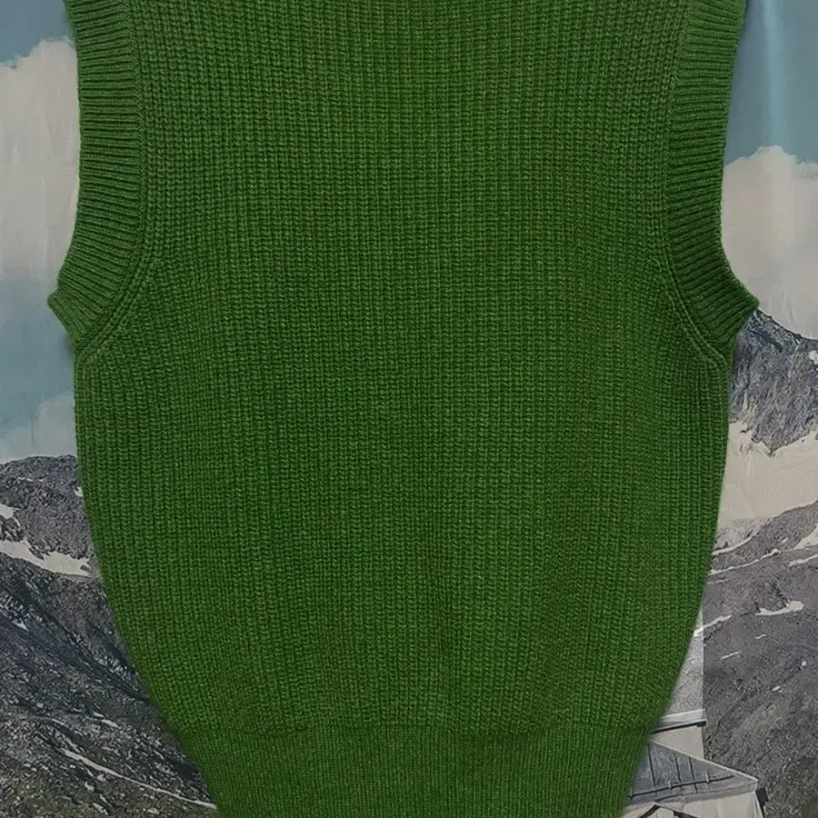 Argyle Hole Knit Vest / Forest