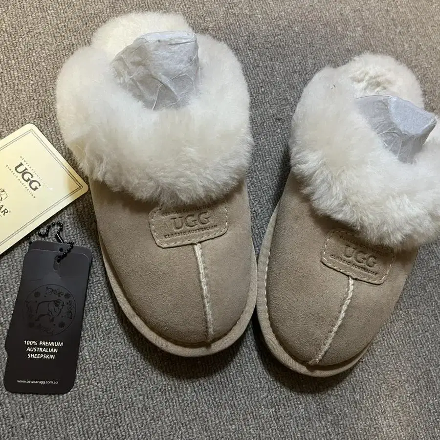 Ugg 코케트