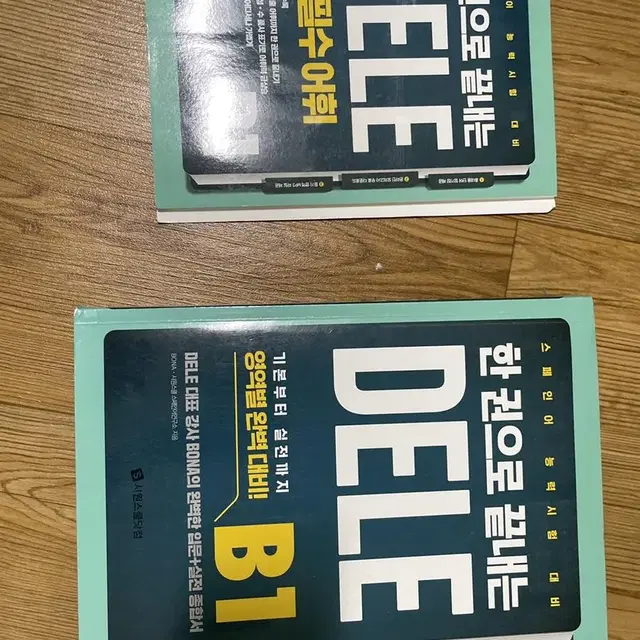 한 권으로 끝내는 DELE B1