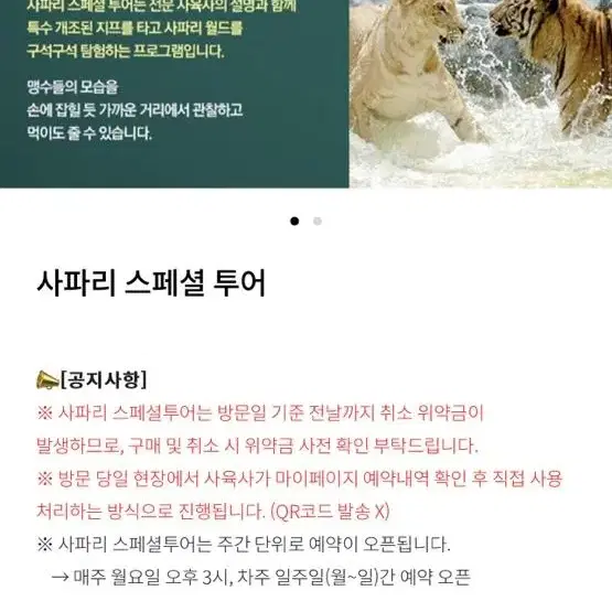 에버랜드 사피리 스페셜투어삽니다