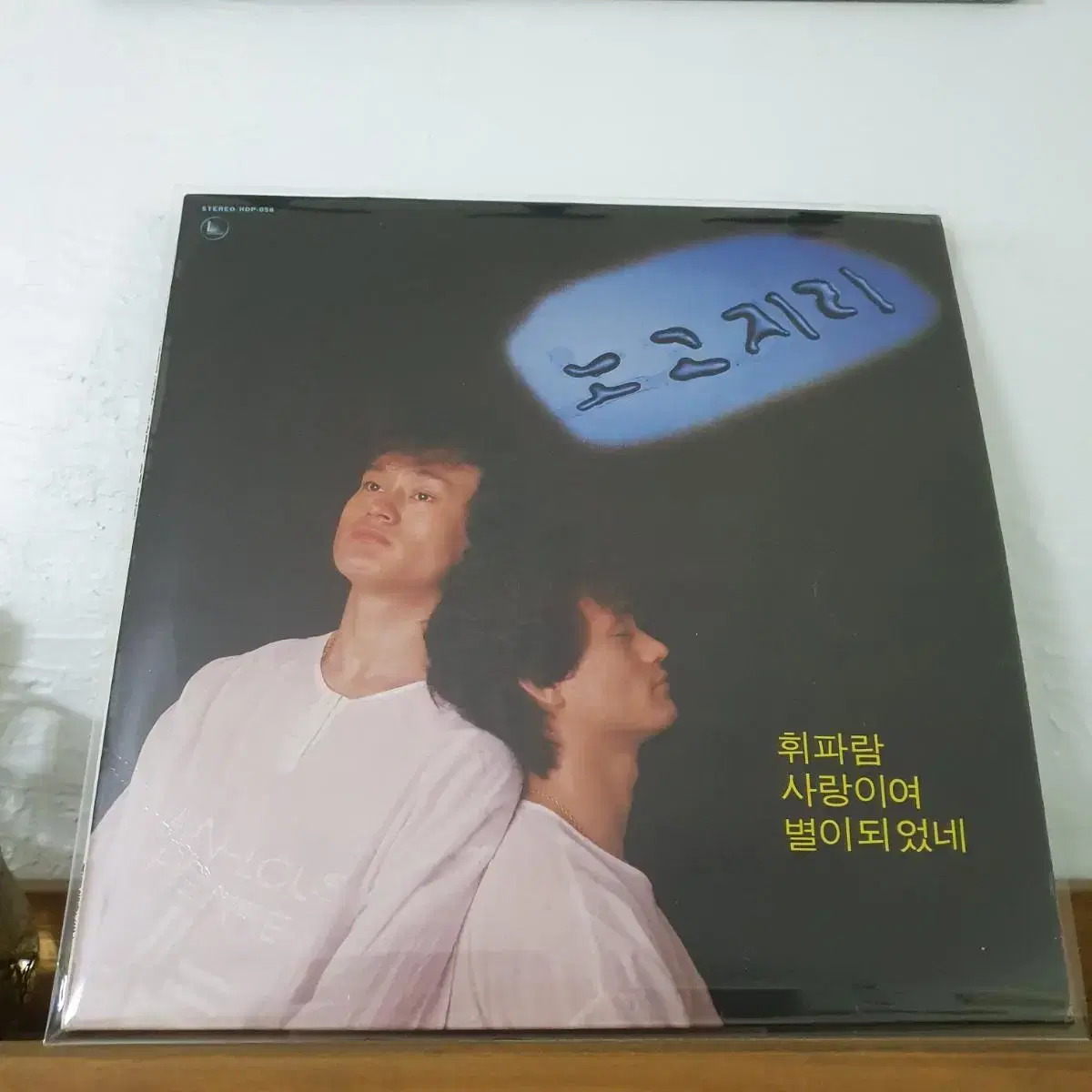 노고지리LP  1985   광대