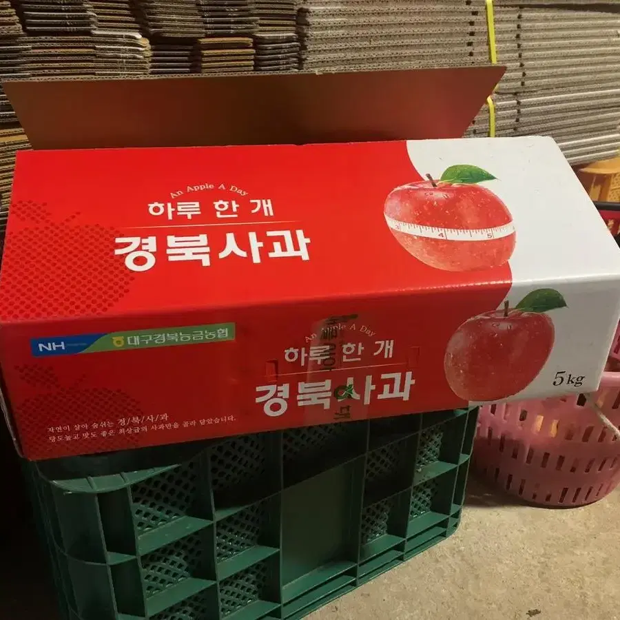 햇사과 5kg 가정용 사과(마른흠)