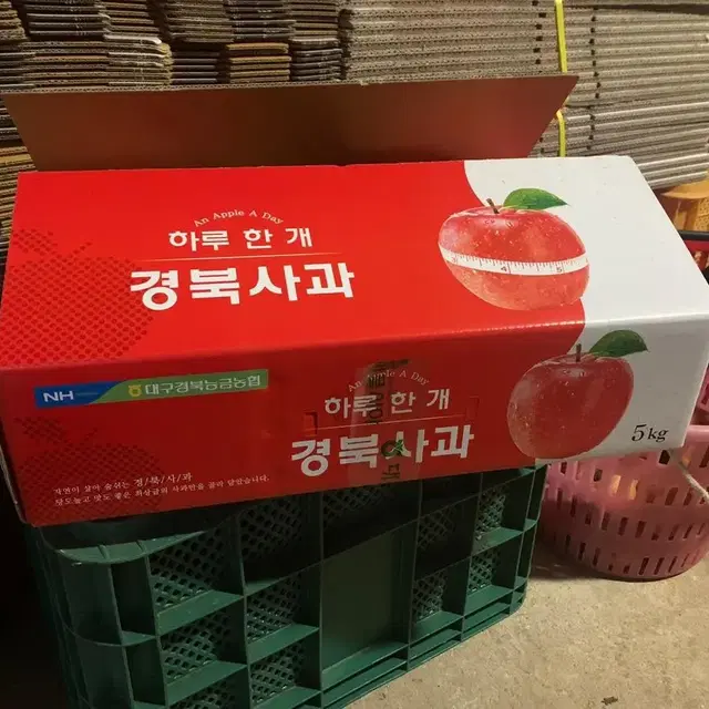 햇사과 5kg 가정용 사과(마른흠)