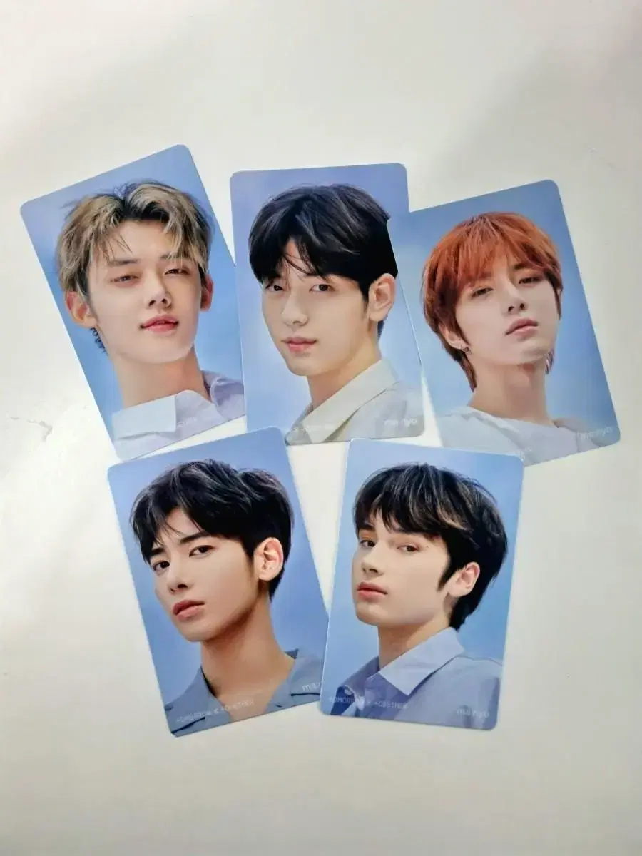 Tubatu Witch Factory 2nd photocard bulk WTS