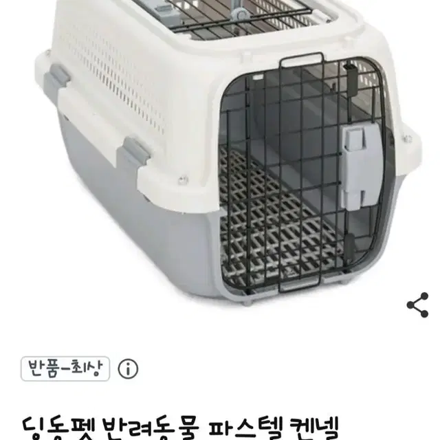 고양이 컨넬