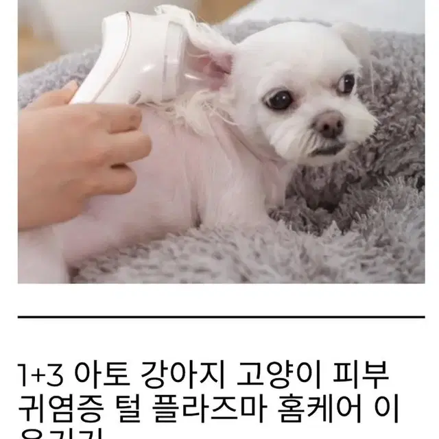 메디벳 반려동물 플라즈마 피부 홈케어 이온기기(피부,염증,진드기)