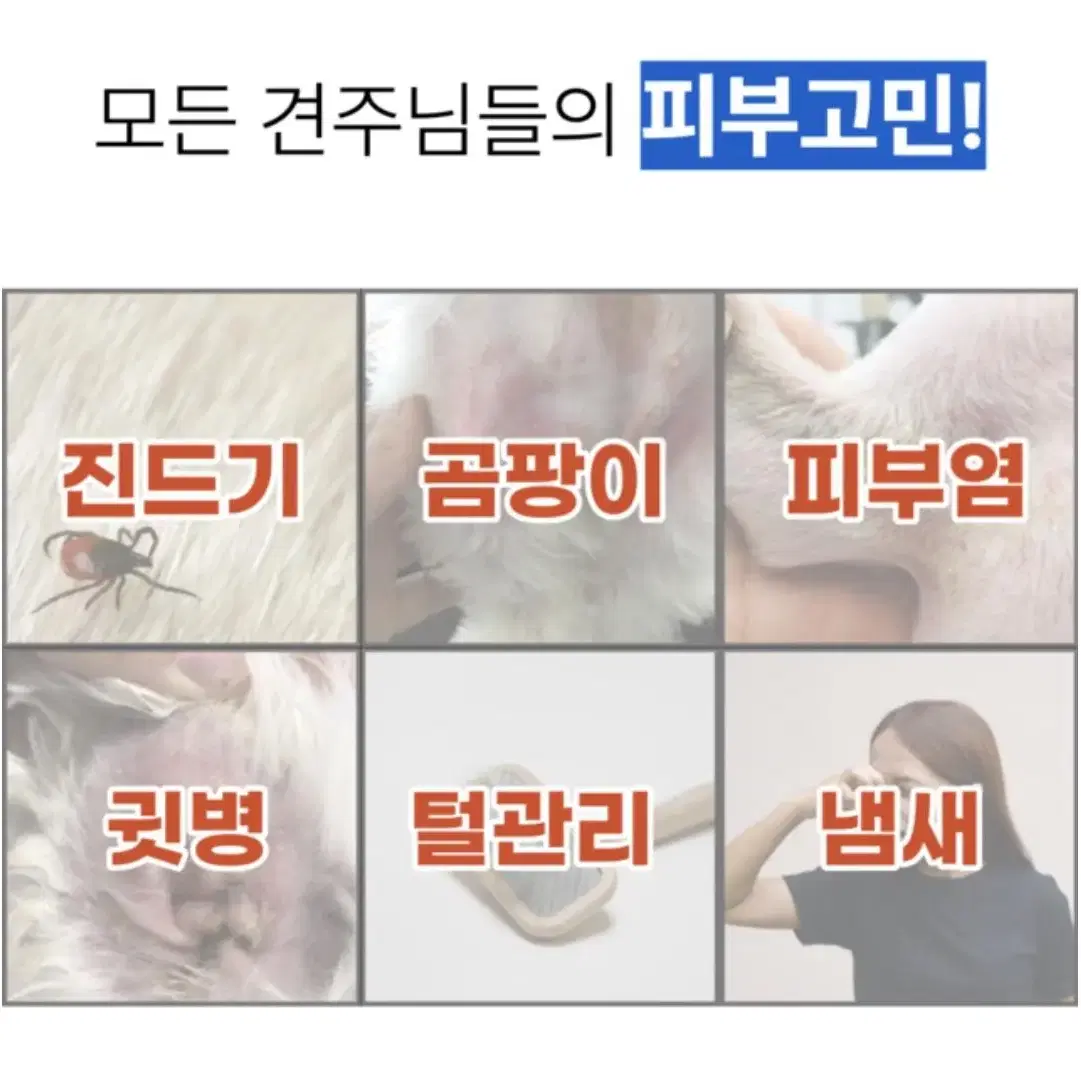 메디벳 반려동물 플라즈마 피부 홈케어 이온기기(피부,염증,진드기)