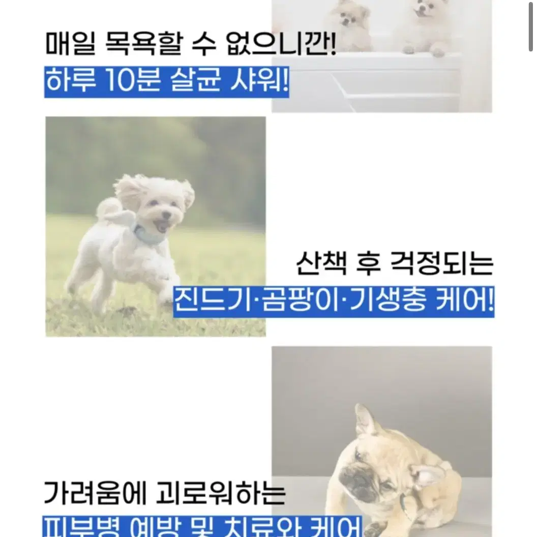 메디벳 반려동물 플라즈마 피부 홈케어 이온기기(피부,염증,진드기)