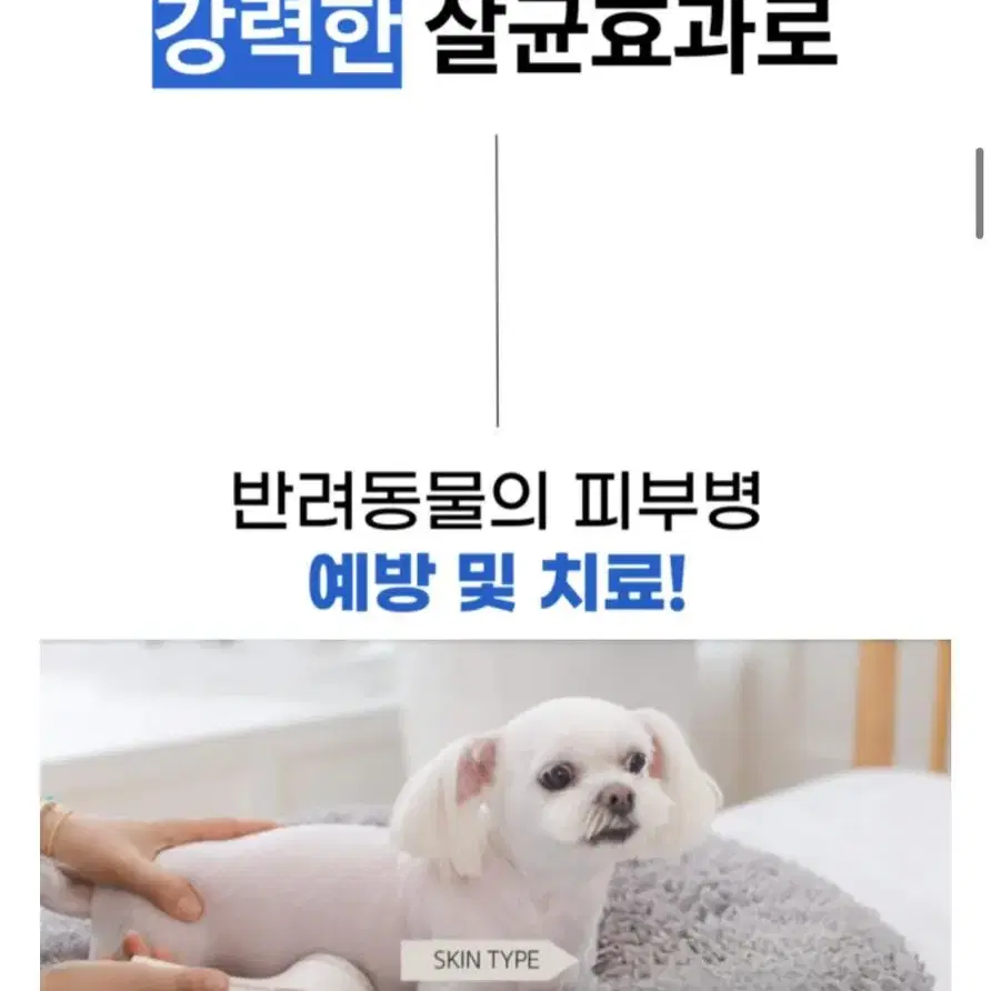 메디벳 반려동물 플라즈마 피부 홈케어 이온기기(피부,염증,진드기)