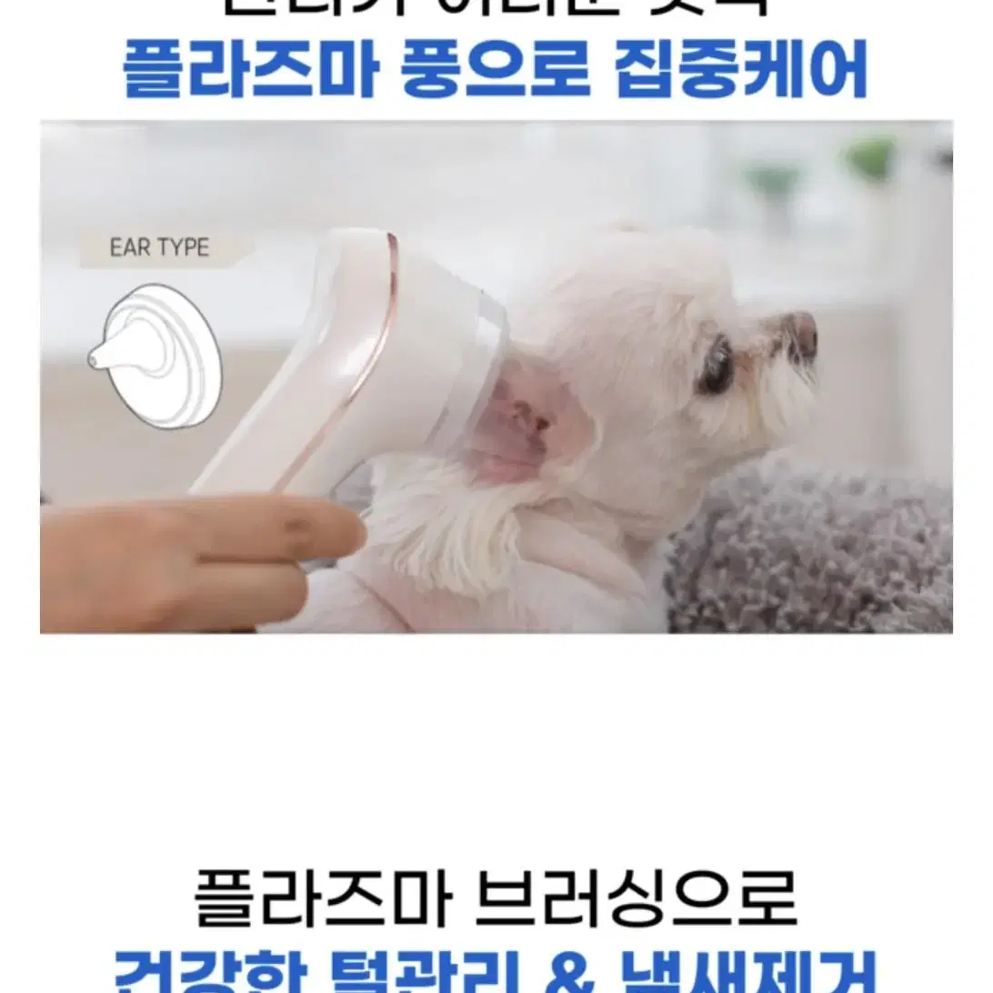 메디벳 반려동물 플라즈마 피부 홈케어 이온기기(피부,염증,진드기)