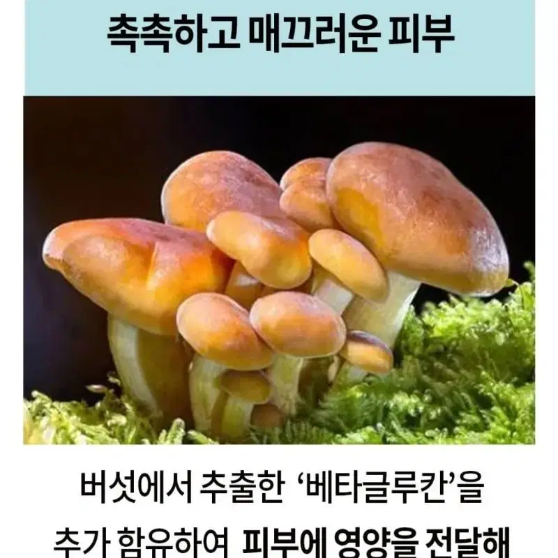 100%효과보장 토닝 레이저 필요X , 기미 주근깨 잡티 미백 기미 크림