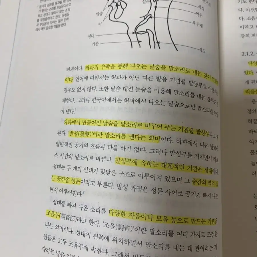 국어국문학과 대학교 교재 (개별 가능)