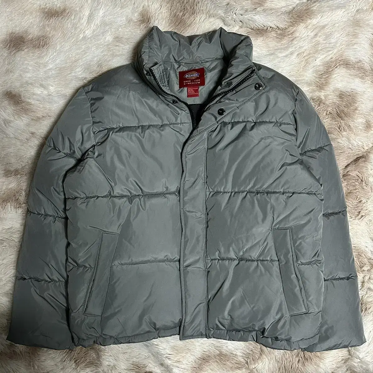 (L) Dickies Cement Gray Puffer Short Padding