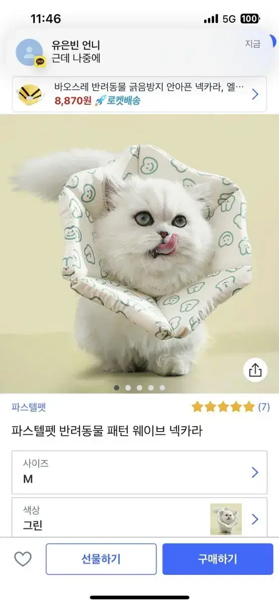 새상품 파스텔펫 쿠션 넥카라 고양이 강아지 중성화