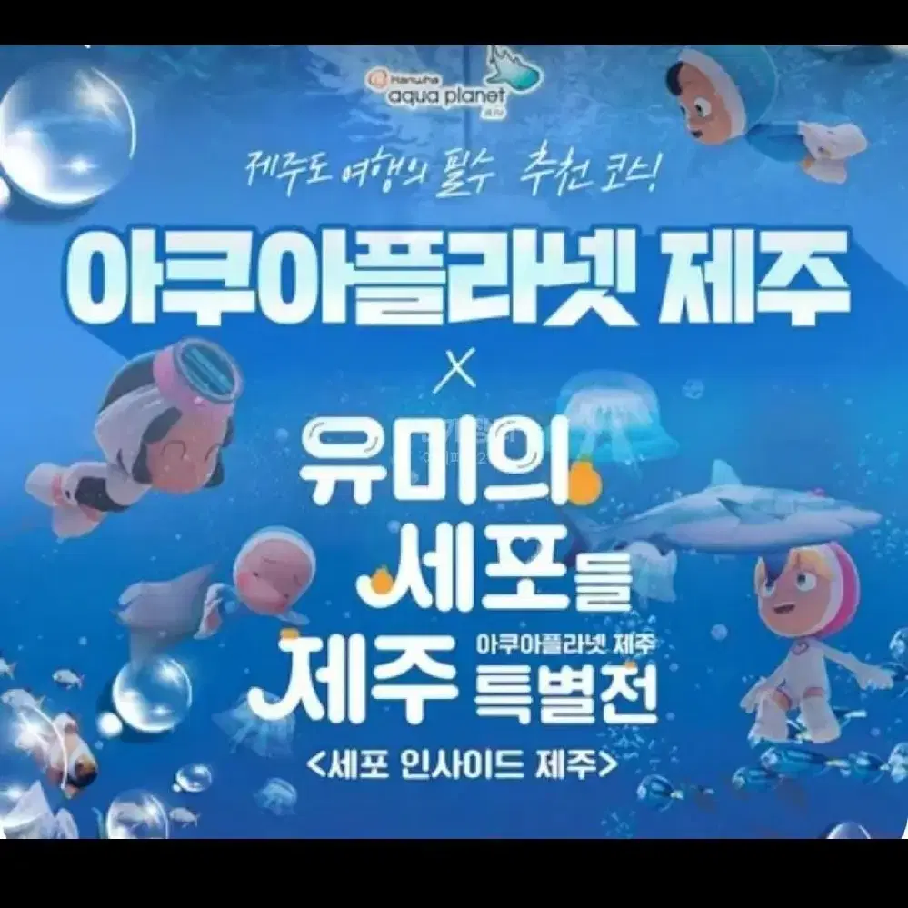 아쿠아플라넷 제주 장당 2.8