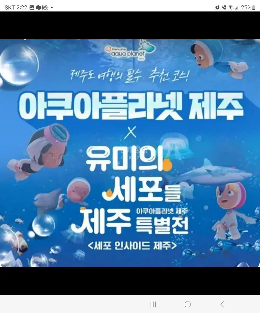 아쿠아플라넷 제주 장당 2.8