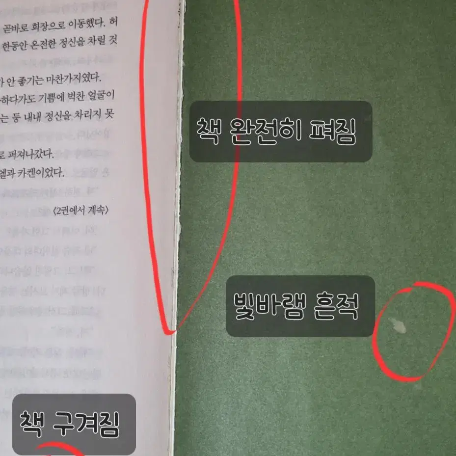 이환 작가 은빛마계왕 전권 양도, 정령왕 엘퀴네스8 일괄 판매