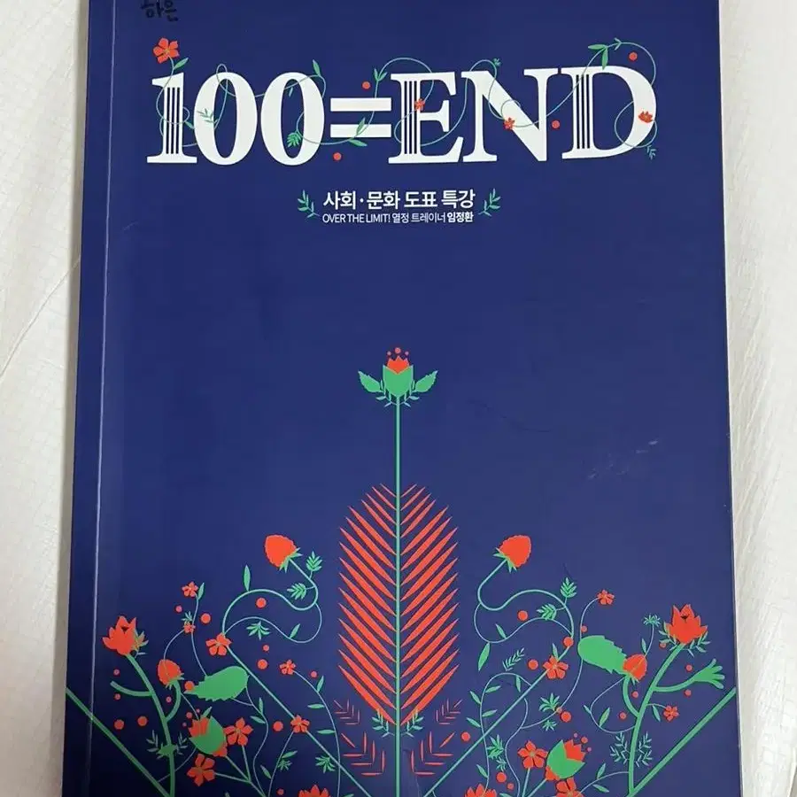 임정환 사회문화 도표특강 100=END 백앤드