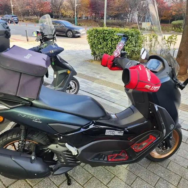 namx155cc2023년11월식