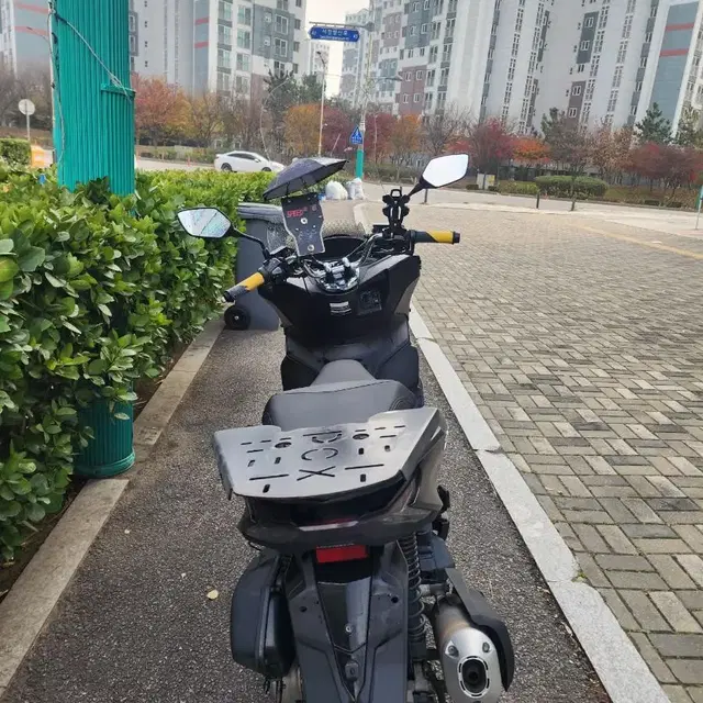 pcx125cc 2021년식36000키로