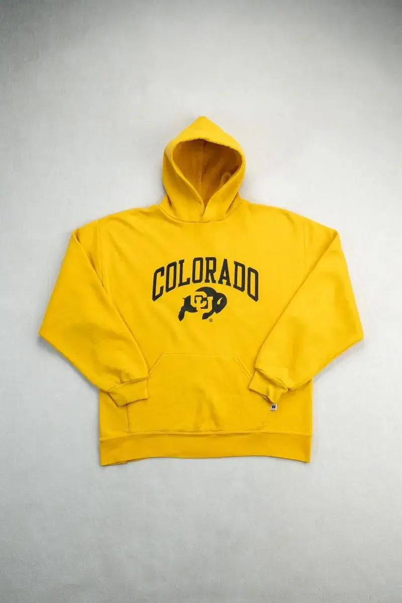 (L) Russell Athletic Hoodie Sweatshirt