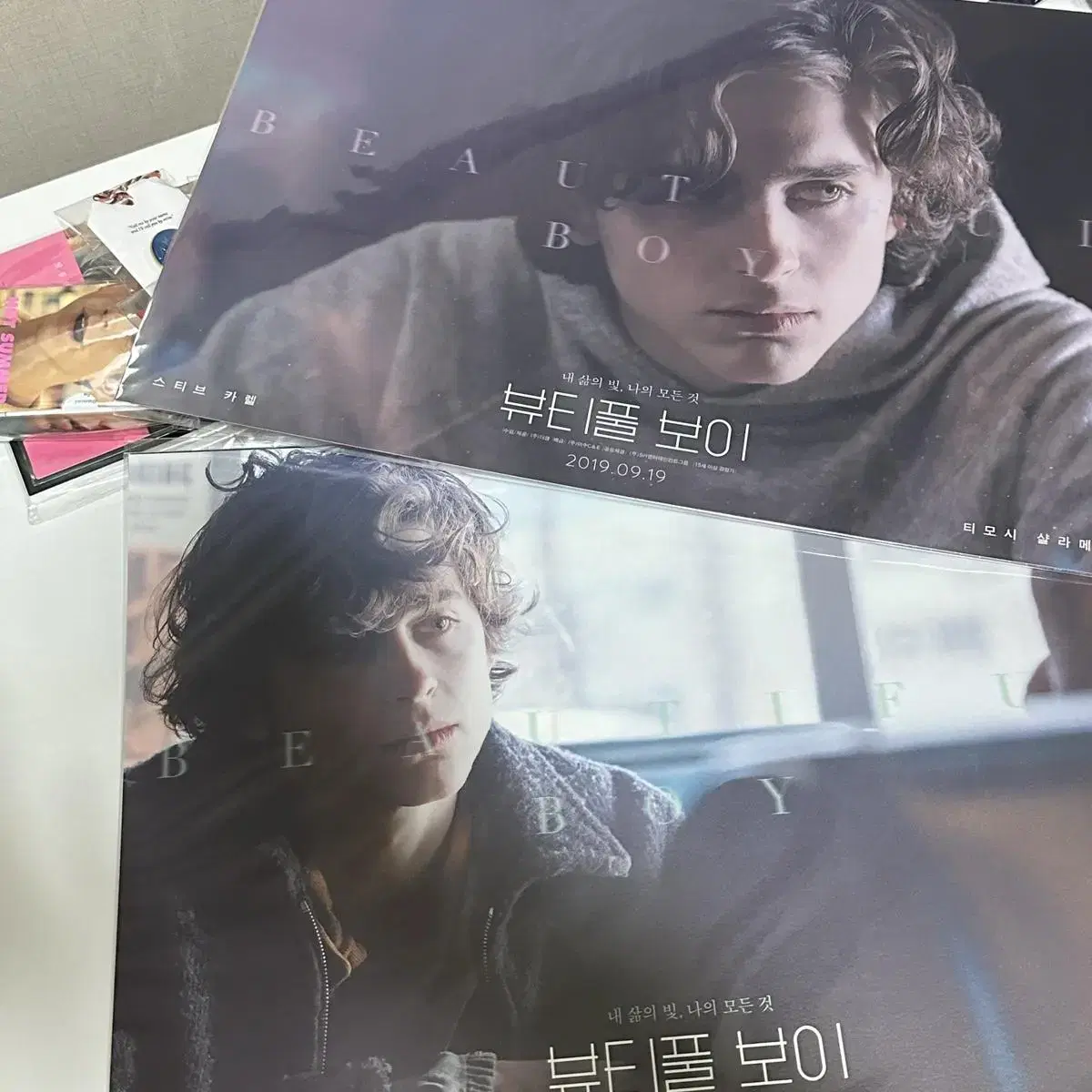 Timothy Chalamet movie merchandise - posters, postcard, etc. in bulk.