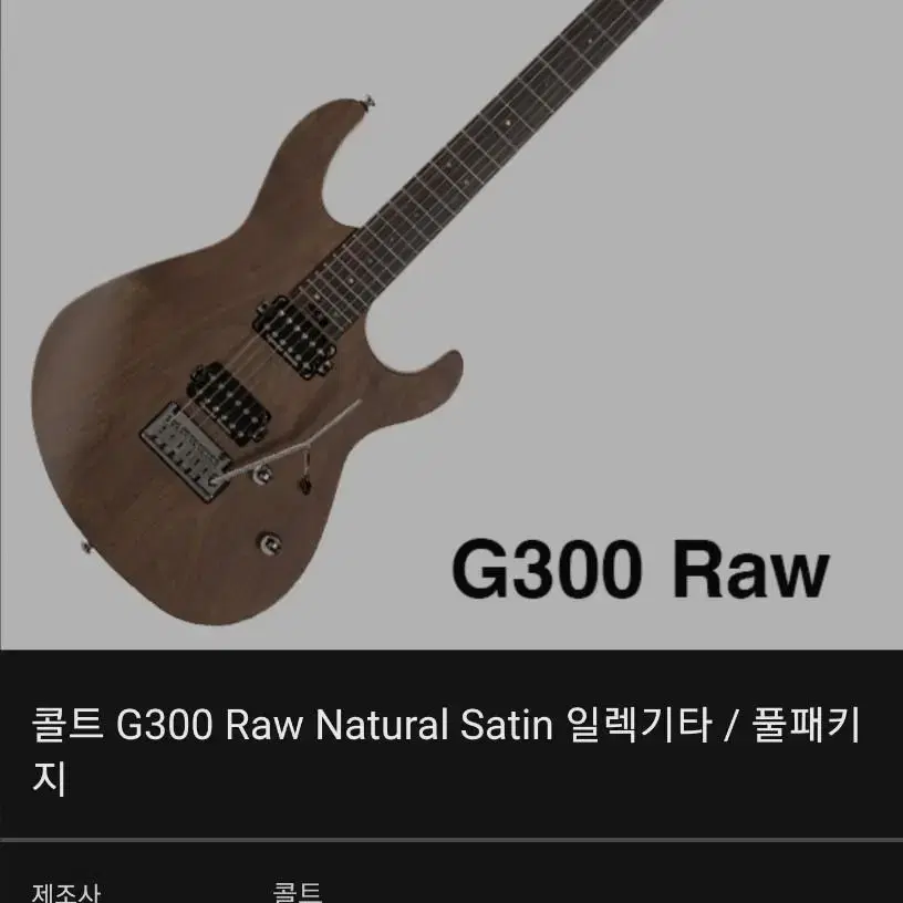 g 300 raw 일렉기타 신품