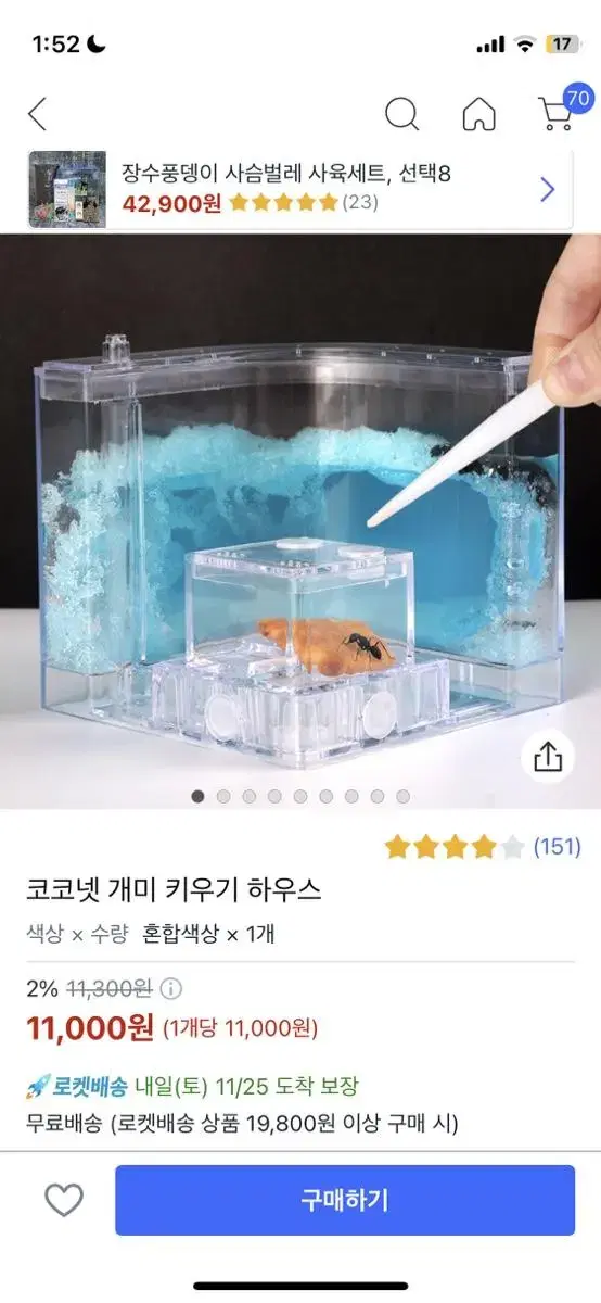 개미키우기 하우스