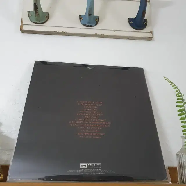 이니그마 LP