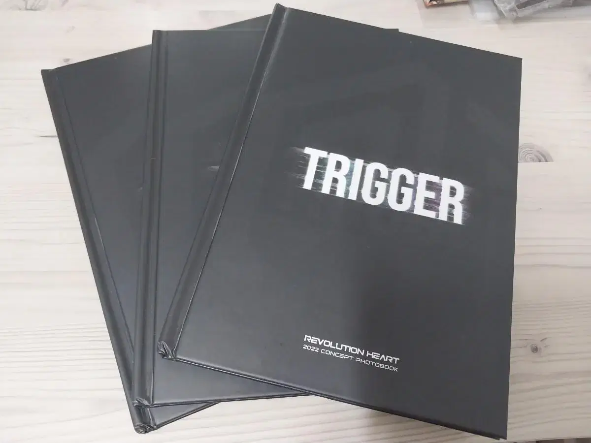 Leha Trigger photobook wts