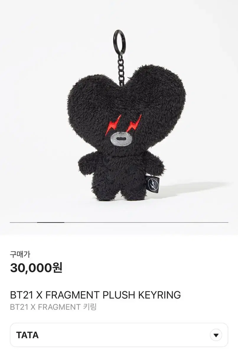 BT21 프라그먼트 키링 타타 팝니다