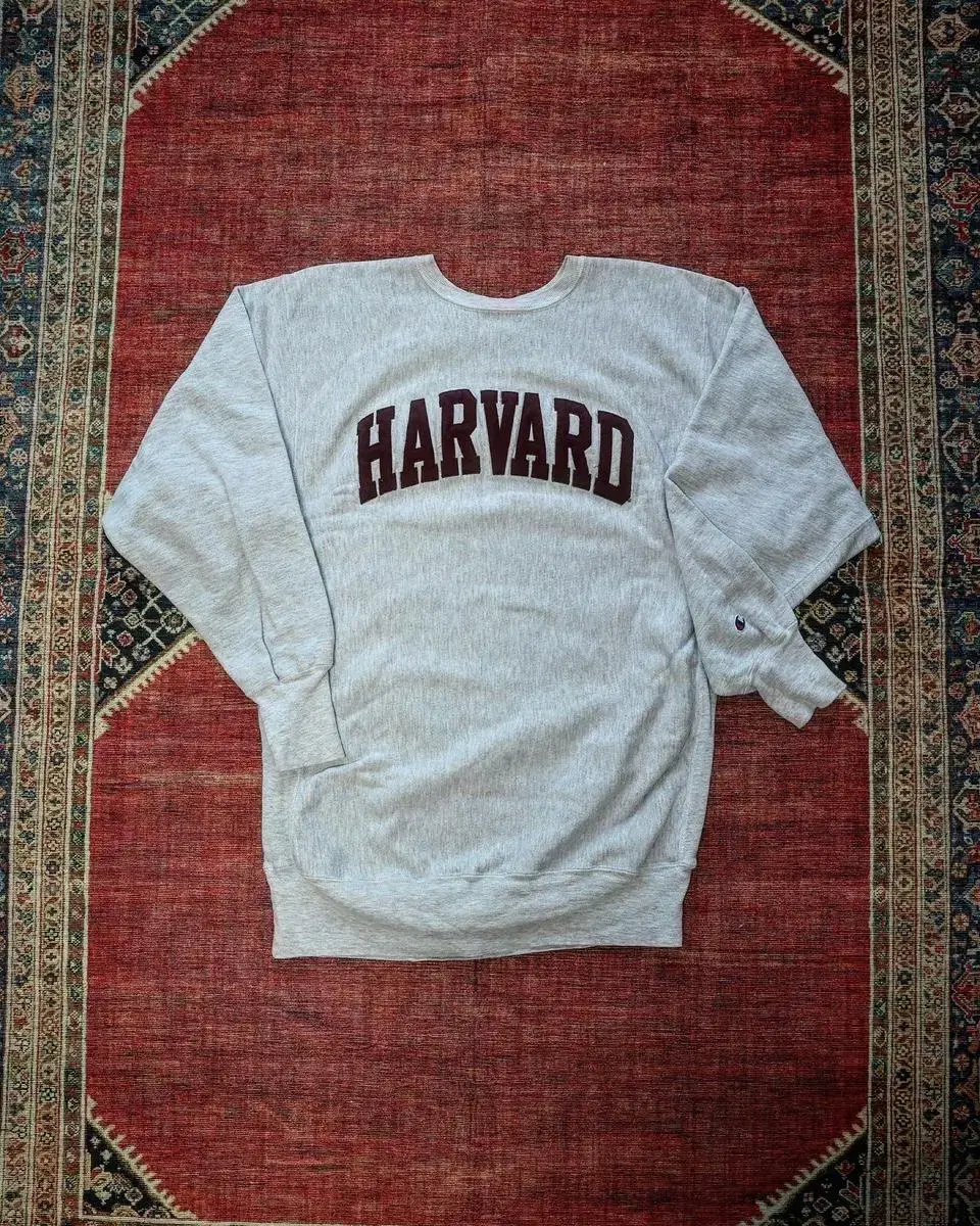 90s Vintage Champion Reverse Weave Harvard Sweat for Sale