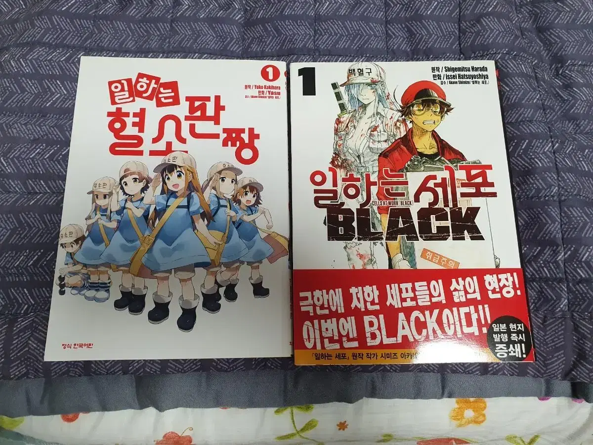 일하는 세포 BLACK/일하는 혈소판짱 만화책 일괄