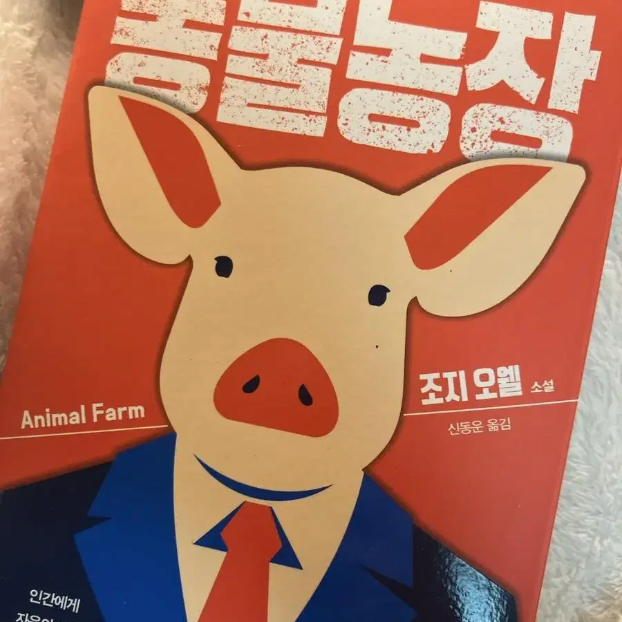 소설책 도서 일괄