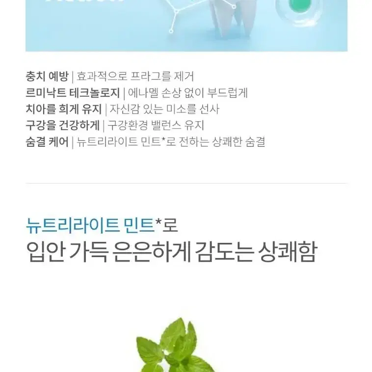 암웨이여행용치약