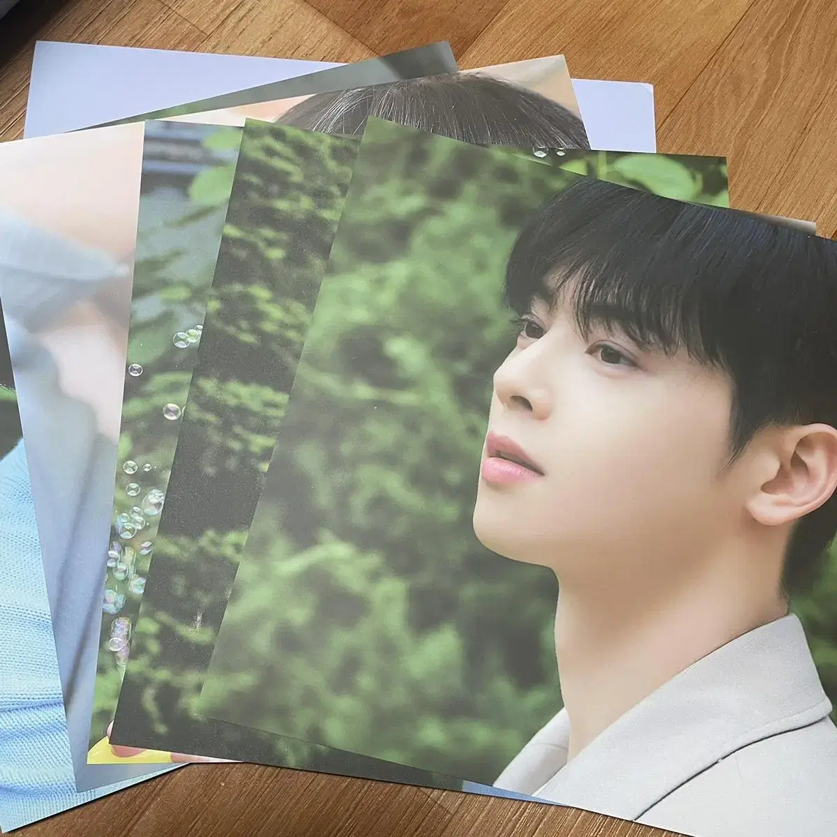 Cha Eunwoo LP Poster